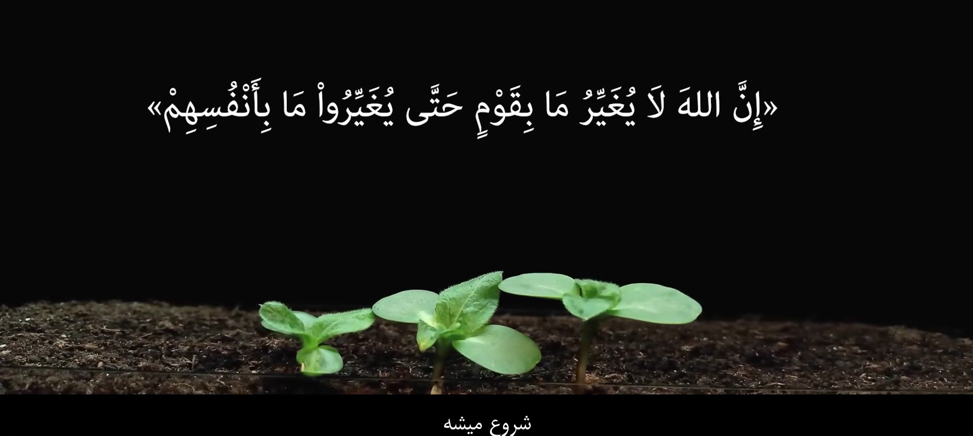 مدرسه کسب‌وکار کرمانی